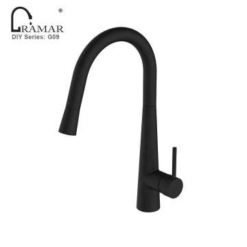 Kitchen Single Handle Pull Down Nozzle ORB High Arc Goose Neck Faucet