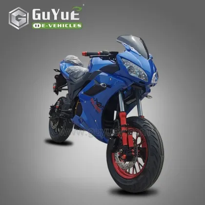 Adult Mini Electric Motorcycle