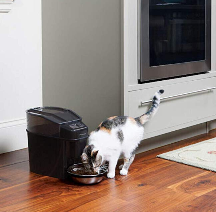 Healthy Pet Simply Feed Dispenser