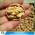 Naturlig tunn hud Kinesiska små valnötter i skal