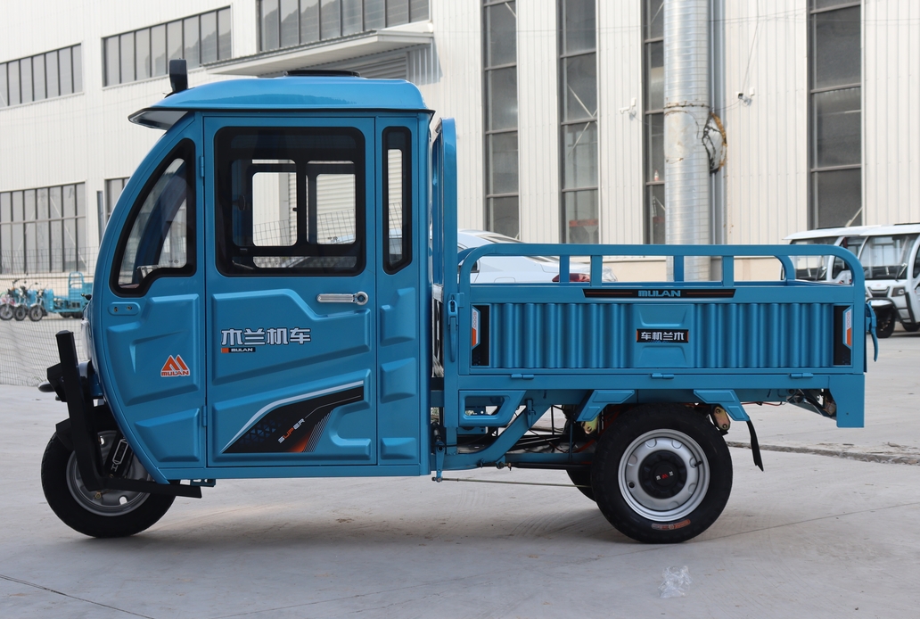 Cargo Electric Tricycle