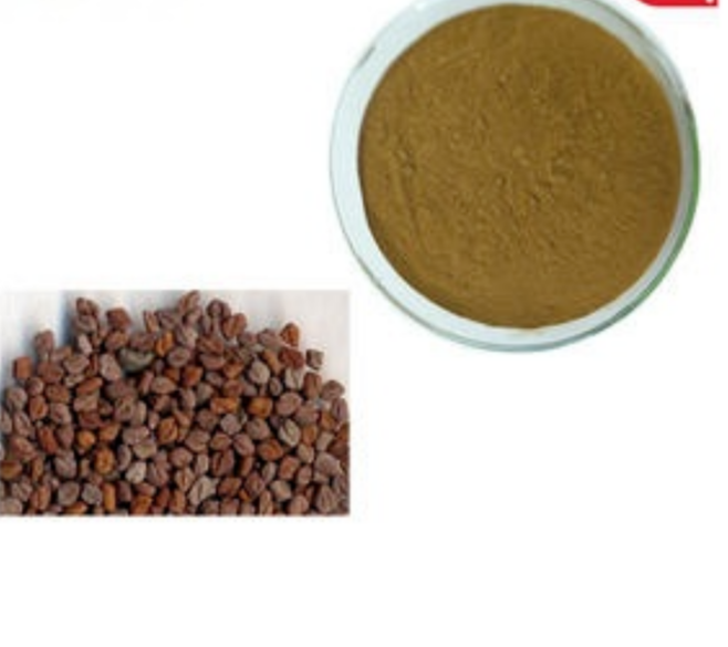 Fenugreek Png