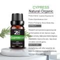 Plant Natrual Cypress Oil for Diffuser Aromatherapy