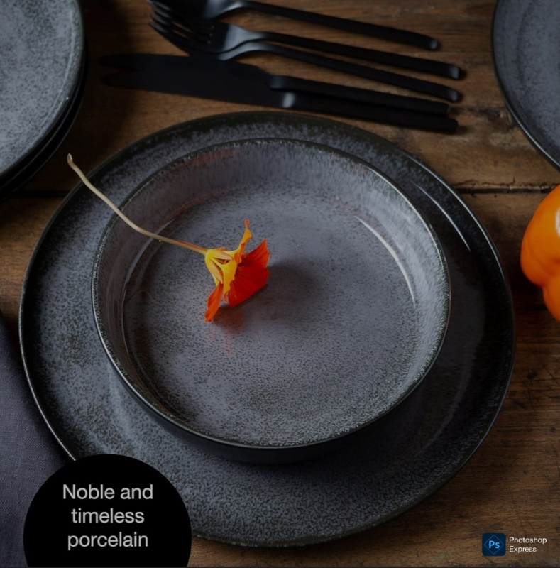 Elegant Porcelain Plate for Everyday Use