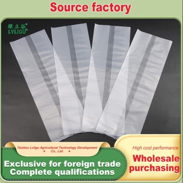 PE Polyethylene မှိုအိတ်
