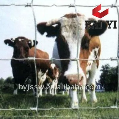 Cow Fence(Professional Factory)