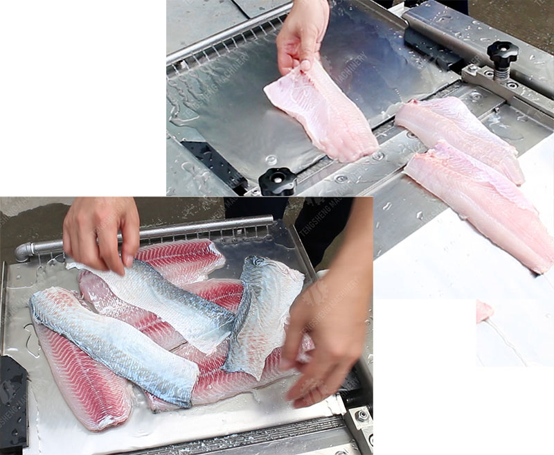 fish skinning machine