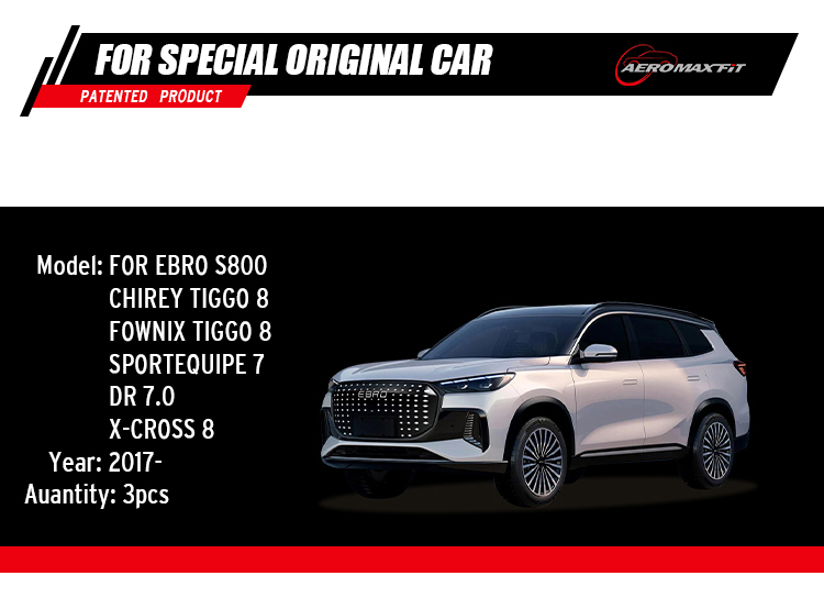 2017- Ebro S800 floor mats_05