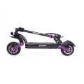 10 -дюймовый offroad Electric Scooter