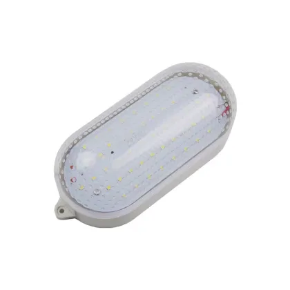 LED Cold Room Lighting: Resistant to Cold and Moisture - Ideal for Cold Storage Environments