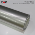 Metallic Paint Champagne Gold