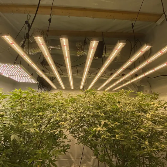 Second Hand Led Grow Light Equipment