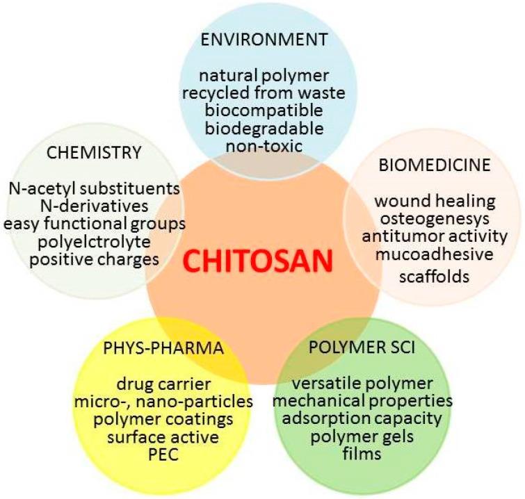 best chitosan supplement