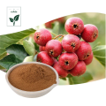 Hawthorn Berry Extract Powder Fruit Juice Powder