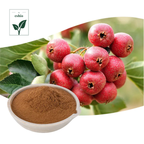 High Quality Hawthorn Berry Extract Powder