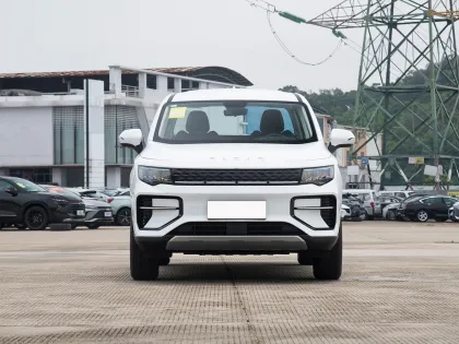 2024 RADAR RD6: Used and New Electric Pickup Truck with 415KM Range 2WD Technology Version