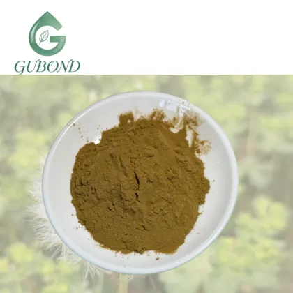 Dandelion Extract Powder for Dietary Supplements