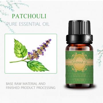 Patchouli de óleo natural 100%Patchouli Preço em massa OEM