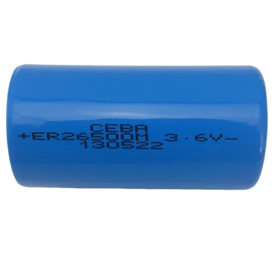 ER26500 Lithium Disposable Battery