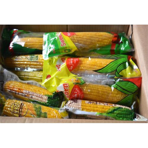 Yellow Sweet Corn high Grade na sprzedaż