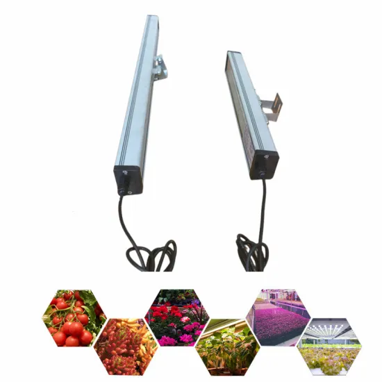 Full Spectrum LED Grow Light Bars for Greenhouse