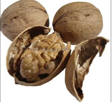China high quality Walnut kernels