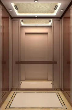 Vvvf Control Lower Noise Passenger Elevator