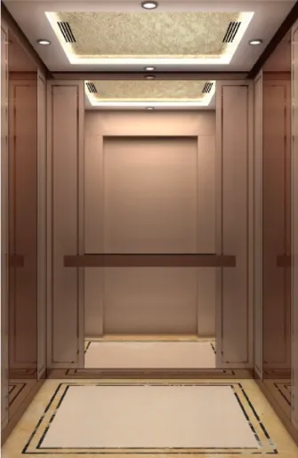 Vvvf Control Lower Noise Passenger Elevator