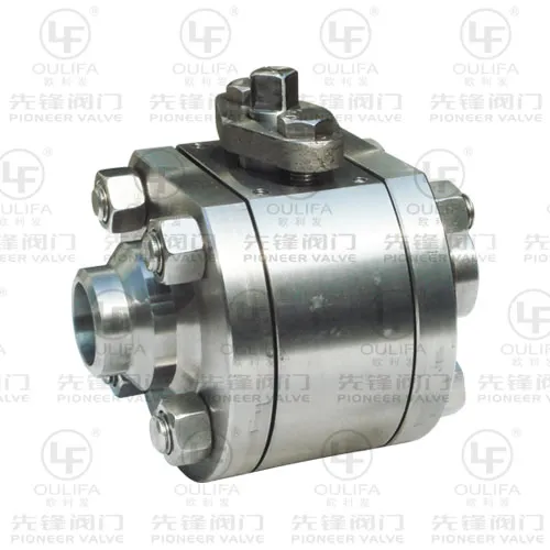 Hard Seal Butt-Weld Ball Valve (Q61Y/H)