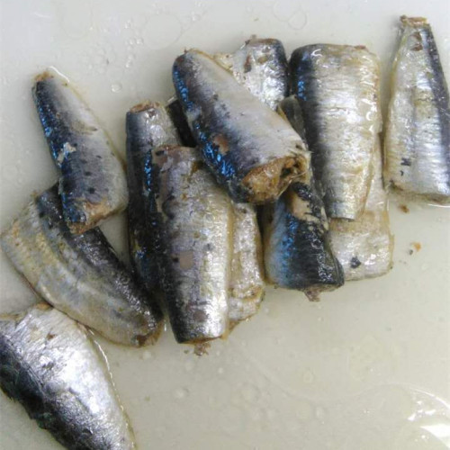 Sardinha enlatada em óleo