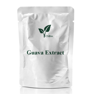 Organic Guava Leaf Extract Powder Guava Leaf Extract Powder Supplier