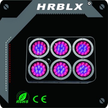 96x3W led grow lamp/led grow lights UFO 300w