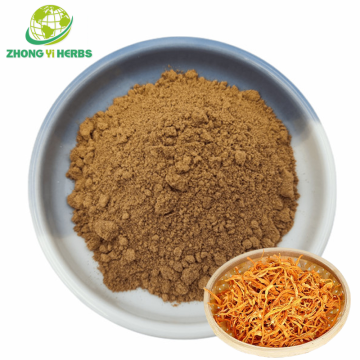 Cordyceps Militaris Mushroom Powder
