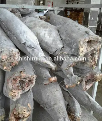 frozen stripe marlin frozen fish red marlin To Sri Lanka