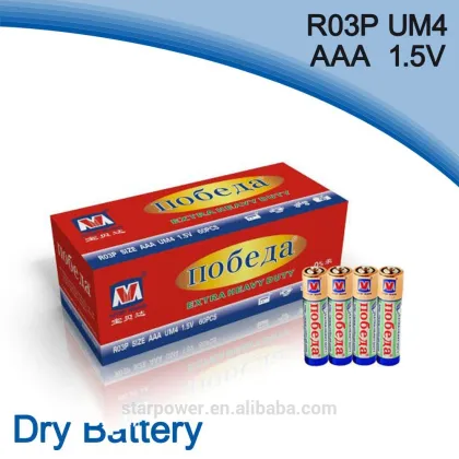 VICTORY MEANING 1.5v um4 battery r03p aaa