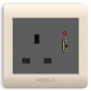 Electrical Single square socket with USB