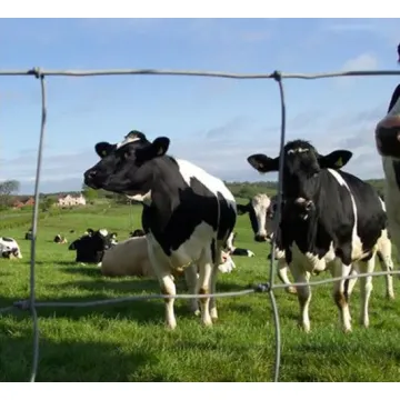 Cerca de campo agrícola galvanizada