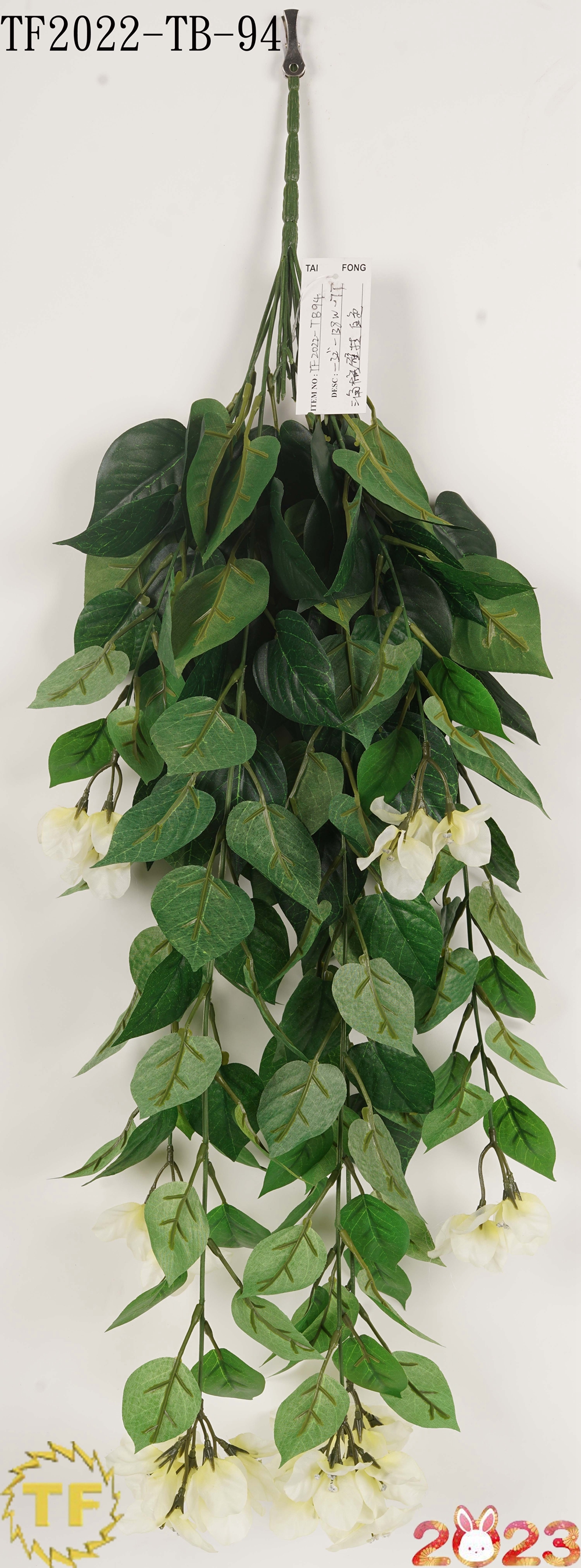 32 "Weißer Bougainvillea Hanging Busch