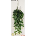 32 &quot;Weißer Bougainvillea Hanging Busch