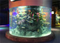 Stor akvariumfisktank för restaurang