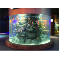 Hög överföring Large Cylinder Aquarium Project