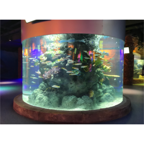 Concepteur professionnel grand cylindre aquarium intérieur / extérieur