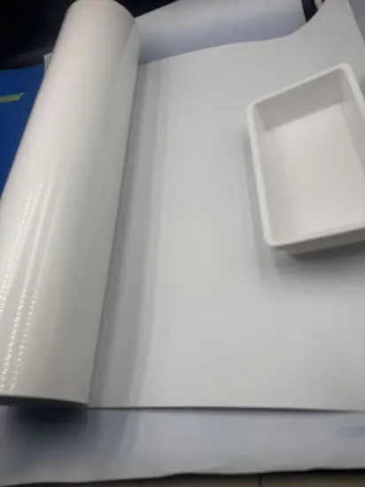 The Characteristics and Applications of White PS Film in Food Thermoforming Packaging and Disposable Tableware