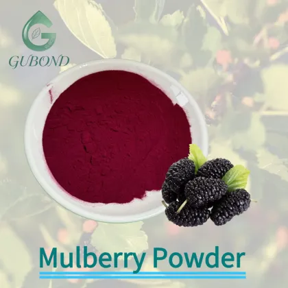 Mulberry Spray Dried Fruit Powder