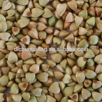 2015 crop organic buckwheat kernels