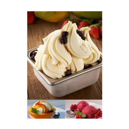 Vertical Gelato and Ice Cream Machine for Fresh Fruits