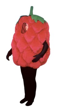 Cartoon costume,bugs bunny rabbit character,disney character,plush dress costume,fresh raspberry costumes