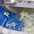 Máquina de lavar vegetais comercial tipo ciclone
