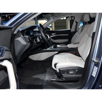 Luxury Electric SUV Guide: Focus on Audi E-tron