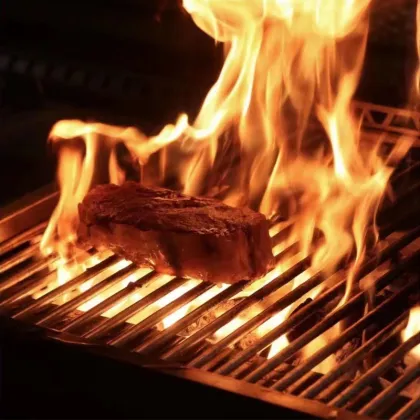 Argentine Outdoor Grill Equipment: Built-in Gaucho Asado Parrilla Brasero & Fire Places